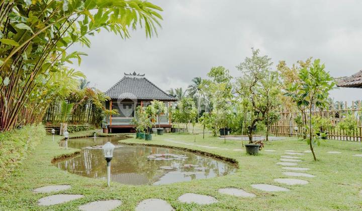 Minimalist VILLA with Mountain, Rice Field & River View in the Marga-Baturiti area, Tabanan