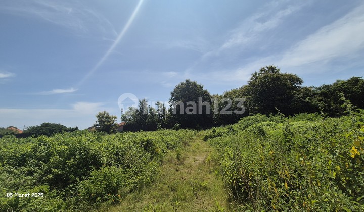 Tanah dijual sangat cocok untuk dikembangkan jadi perumahan .lokasi Dharmawangsa Nusa Dua, Bali