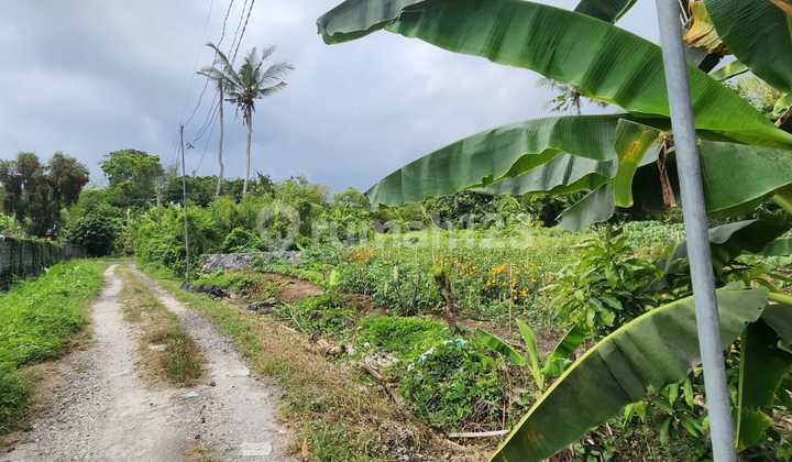 For Sale – Beautiful Land in Tibubiu, Tabanan 2