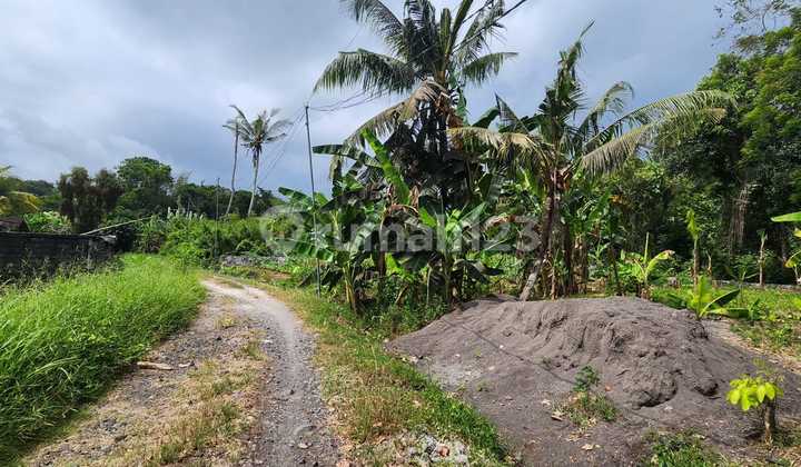 For Sale – Beautiful Land in Tibubiu, Tabanan 1