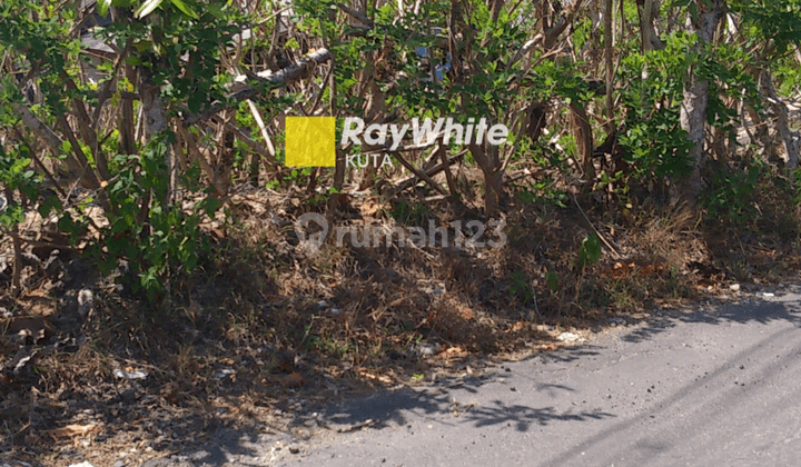 Tanah 50 Are Ungasan Di Sewakan, Bukit Jimbaran, Badung 3