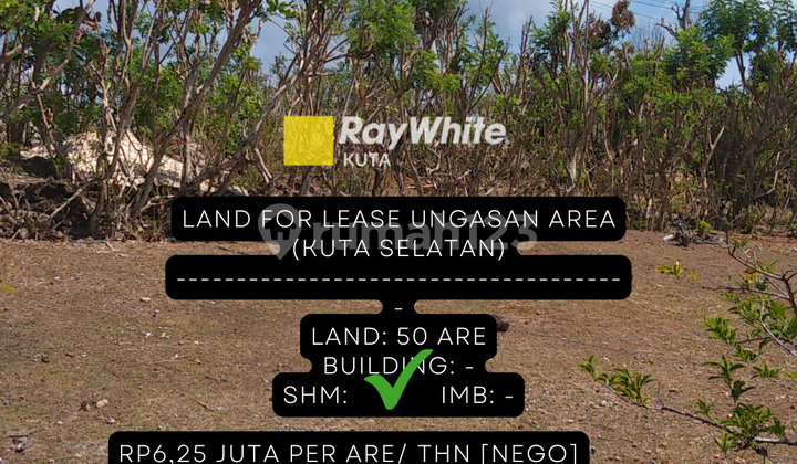 Tanah 50 Are Ungasan Di Sewakan, Bukit Jimbaran, Badung 8