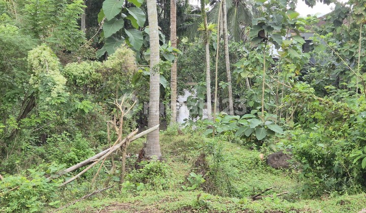 For Sale Land with Views of Rice Fields & Bantas River Tabanan, Bali