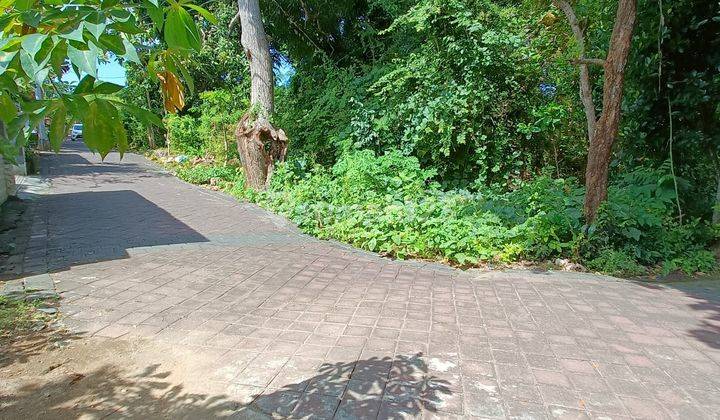Land For Long Term Lease At Taman Mumbul, Benoa Nusa Dua. Bali 2