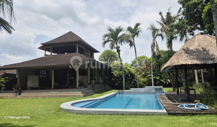 Dijual Tanah Luas 16,6 Are, Bonus Rumah Pondok & Kolam Renang - Bona, Gianyar