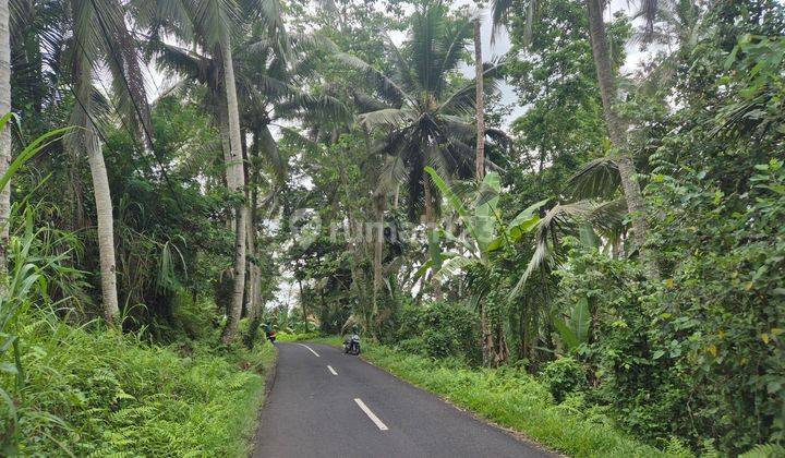 Tanah View Sawah lokasi Kenderan Ubud  2