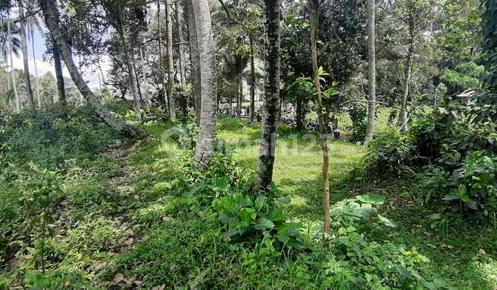 Land for Sale in Keliki Kawan, Tegal Alang, Ubud Land for Sale in Keliki Kawan, Tegal Alang, Ubud