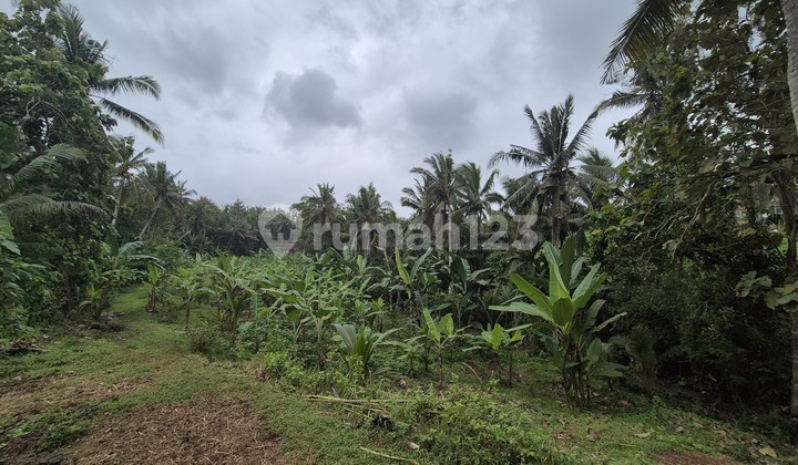 For Sale Land with Views of Rice Fields & Bantas River Tabanan, Bali