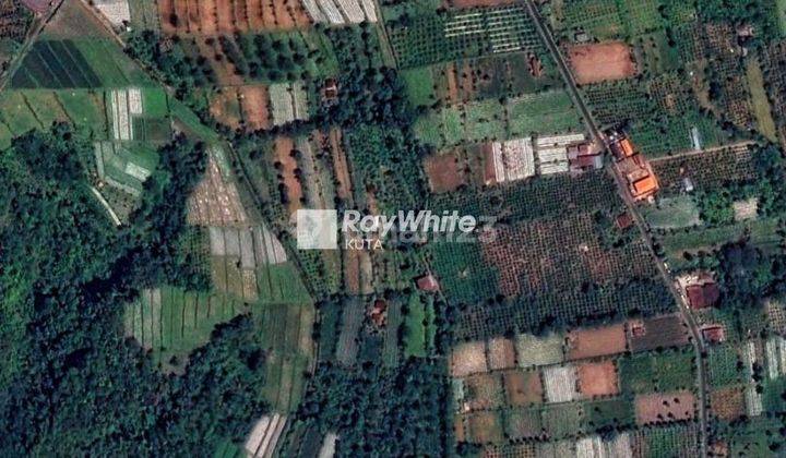 Tanah View Gunung Di Desa Pelaga Kintamani Bali 3