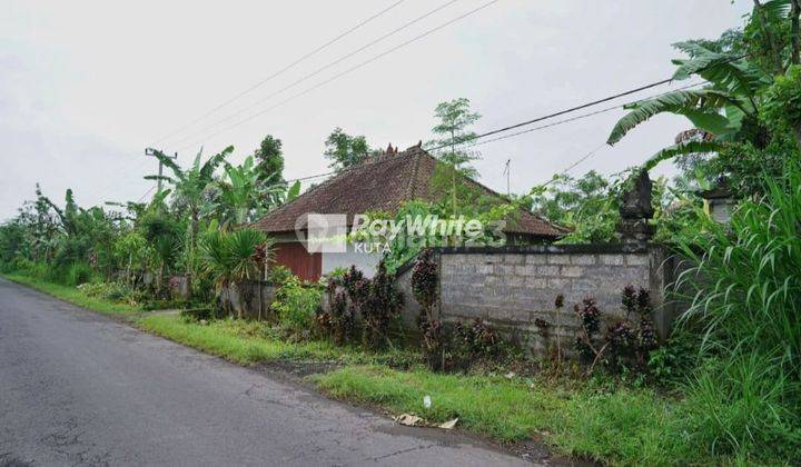 Tanah View Gunung Di Desa Pelaga Kintamani Bali 8