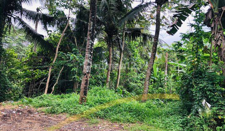 Tanah Lokasi Sangat Tenang Di Samplangan, Gianyar, Bali 1