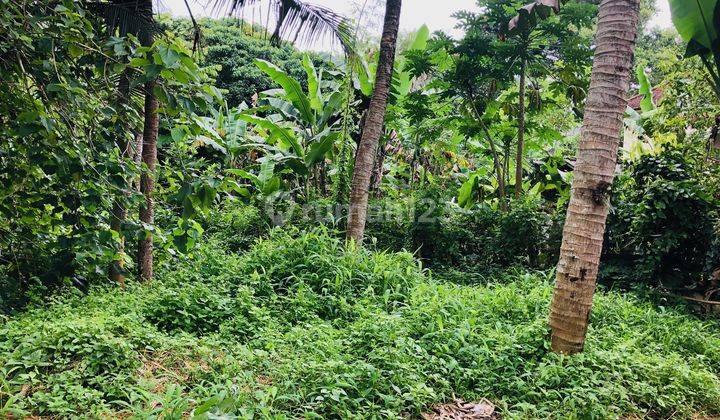 Tanah Lokasi Sangat Tenang Di Samplangan, Gianyar, Bali 2