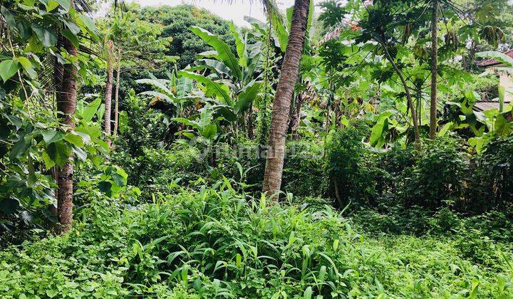 Tanah Lokasi Sangat Tenang Di Samplangan, Gianyar, Bali 7