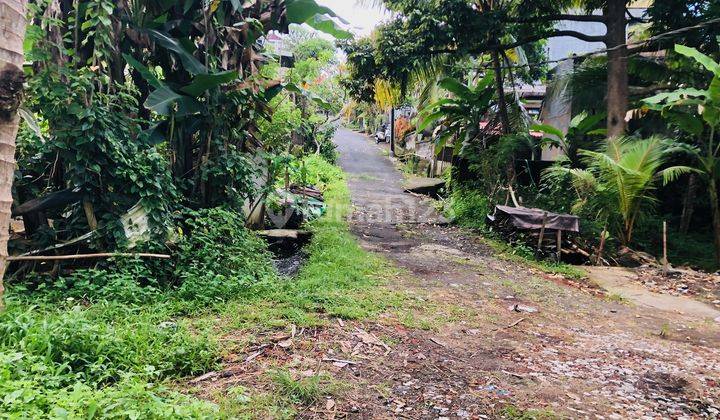 Tanah Lokasi Sangat Tenang Di Samplangan, Gianyar, Bali 8