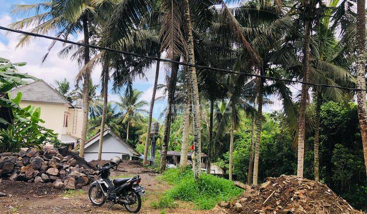 Tanah Lokasi Sangat Tenang Di Samplangan, Gianyar, Bali 9