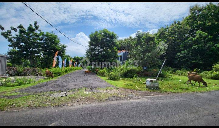 Tanah Pinggir Jalan Utama Pantai Balangan, Bali 1