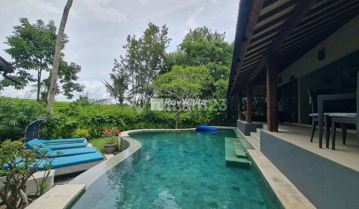 Villa With Rice Field And River View In Pererenan, Canggu, Bali 1