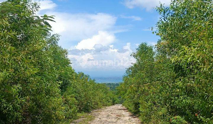 Ocean View Land And Hook Location In Jimbaran, Bali 2