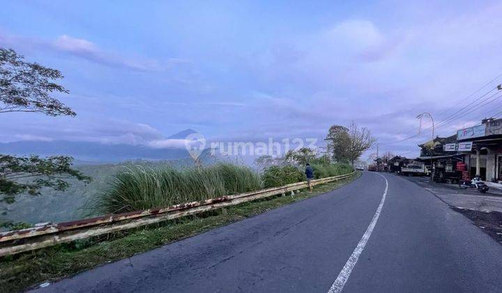 Beautiful Land With Mount Batur View In Kintamani, Bali 6