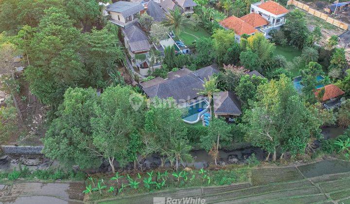 Villa And Land With Rice Field And River View In Pererenan, Bali 7