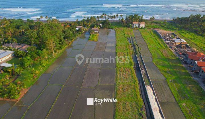 Rare Freehold Land in Front of Seseh Beach, Bali 1