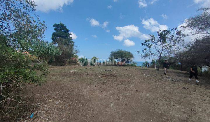 Tanah 1 Ha Cliff Front At Suluban, Pecatu, Bali 2