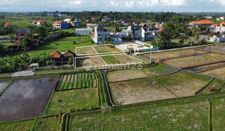 Tanah Kavling View Sawah Dekat Pantai Nyanyi, Tabanan, Bali 1