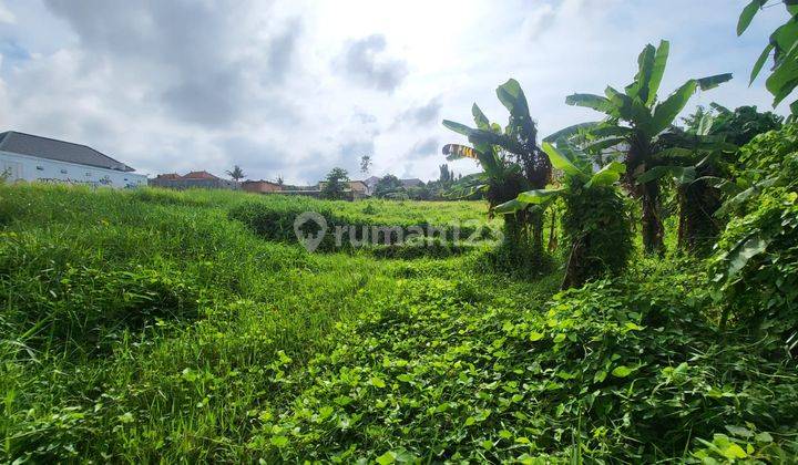 Tanah Lokasi Strategis Cocok Untuk Villa di Padang Linjong, Bali 1