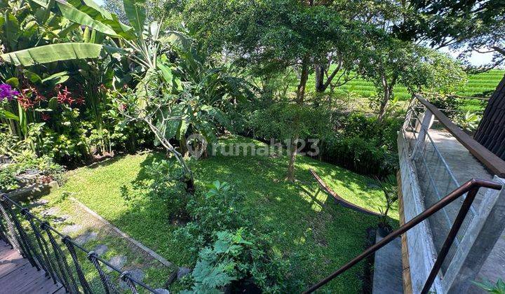 Freehold land with views of rice fields and rivers in Pererenan, Bali 1