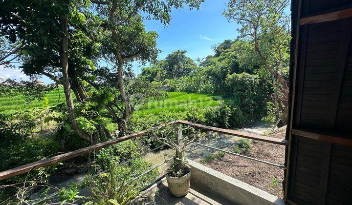 Freehold land with views of rice fields and rivers in Pererenan, Bali 2