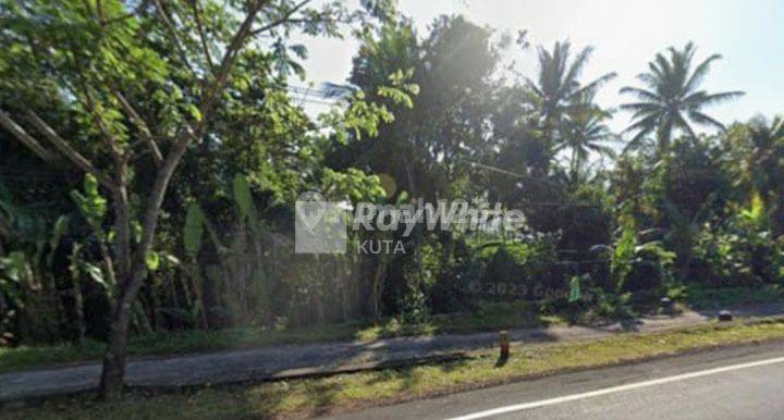 Tanah Komersial Pinggir Jalan Raya Pekutatan Jembrana, Bali 1