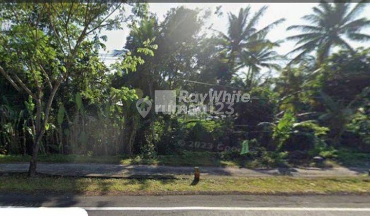 Commercial Land on the Side of Pekutan Jembrana Highway, Bali 1