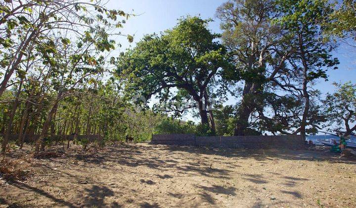 Beach Front Land In Amed  2