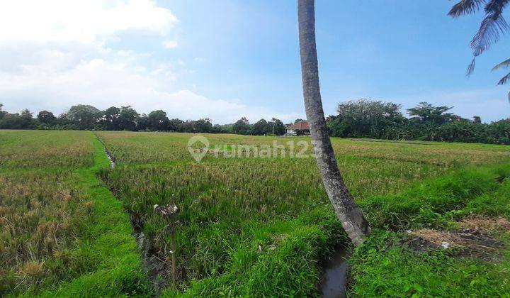 Majestic Land For Lease In Kedungu, Tabanan, Bali 4