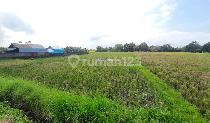 Majestic Land For Lease In Kedungu, Tabanan, Bali 6