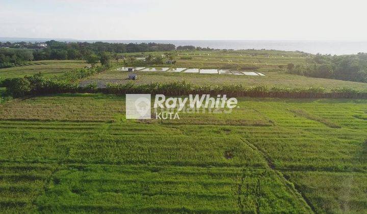 Kedungu Bali Land Plot For Sale 1