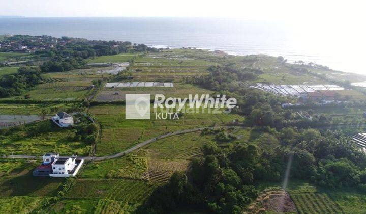 Kedungu Bali Land Plot For Sale 2