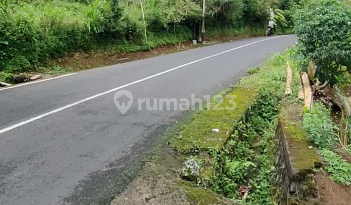 Tanah Dengan Air Terjun Dan Mata Air di Daerah Munduk, Bali 6