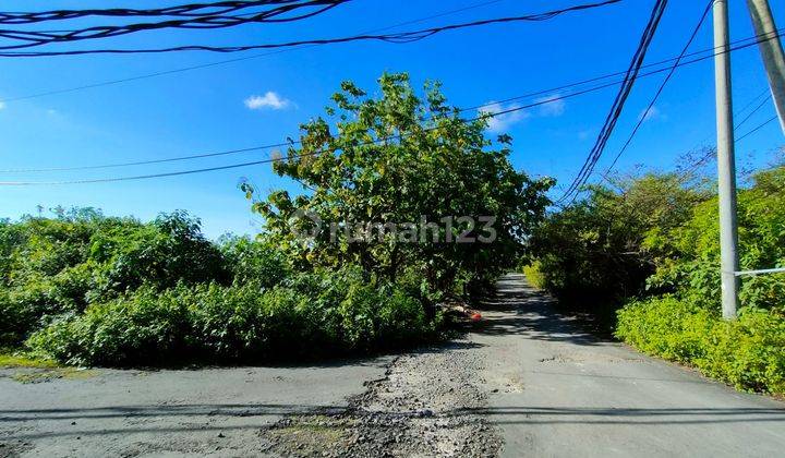 The Best For Investment Land 10 Minutes From Balangan Beach, Bali 2