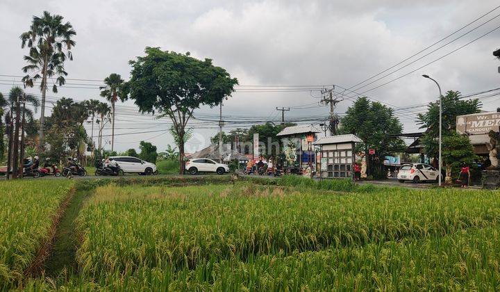 Land For Leasehold On The Main Road Of Canggu To Tanah Lot, Bali