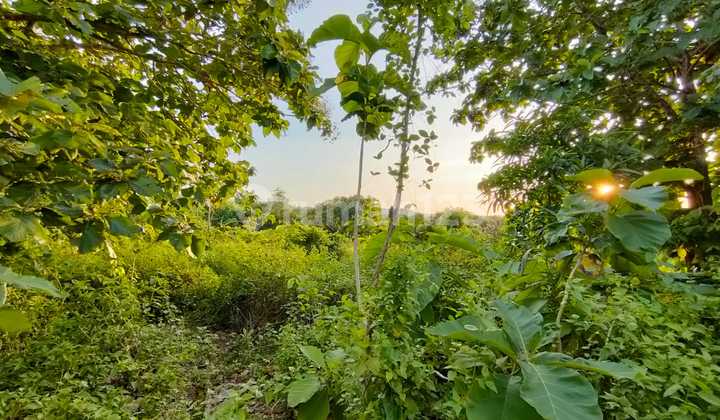 Strategic Location Land In Mainroad Balangan 6