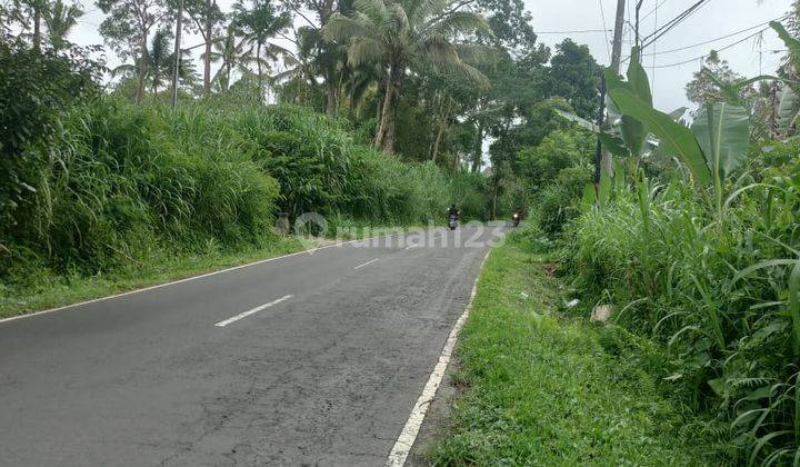 Tanah di Jalan Utama Payangan Dekat Padma Resort Ubud, Bali 2