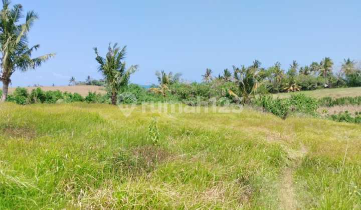 Large Land with Attractive Investment Potential in Klecung, Tabanan, Bali.