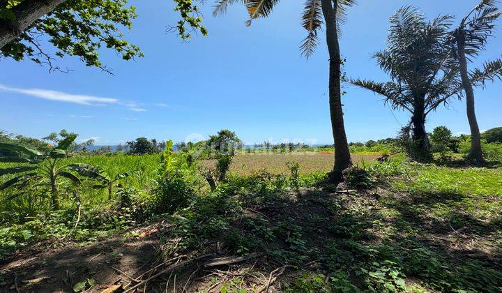 Pemandangan Laut Dan Jalan Kaki Ke Pantai Keramas  2