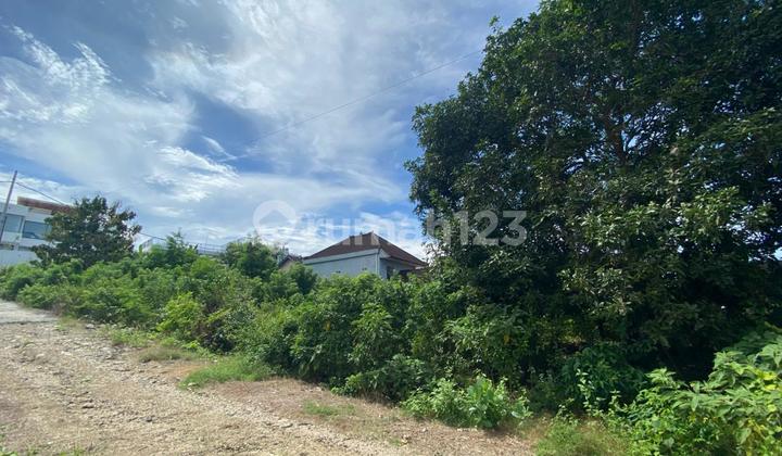 Pink Zone Ocean View Land Freehold In Pandawa Near The Beach Pink Zone Ocean View Land Freehold In Pandawa Near The Beach