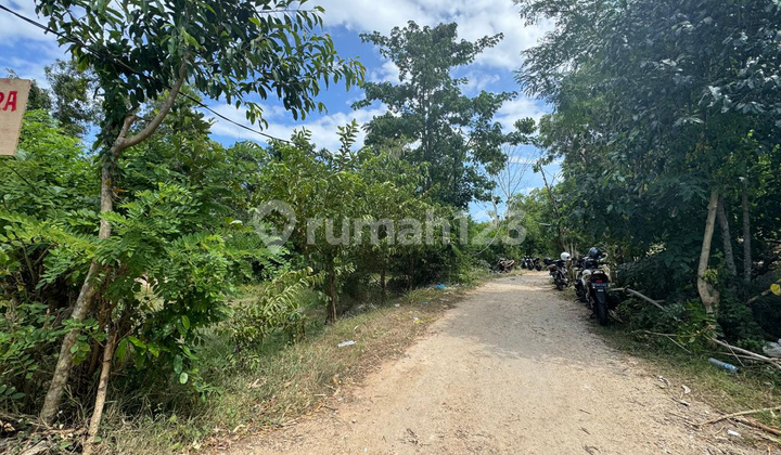 Land Leasehold in Padang-Padang Near the Beach, Price 20 Million /Are/Year, Lease for 25 Years Land Leasehold in Padang-Padang Near the Beach, Price 20 Million /Are/Year, Lease for 25 Years