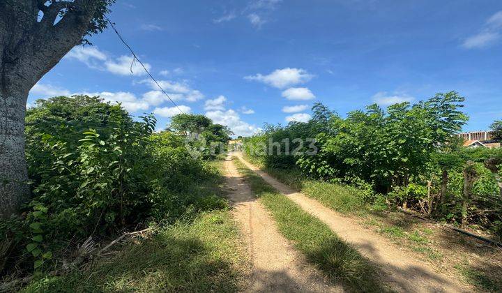 Beautiful Flat Land Lease Hold In Bingin 1