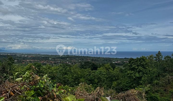Tanah dengan Pemandangan Laut Menakjubkan di Lovina Terbaik untuk Investasi Tanah dengan Pemandangan Laut Menakjubkan di Lovina Terbaik untuk Investasi