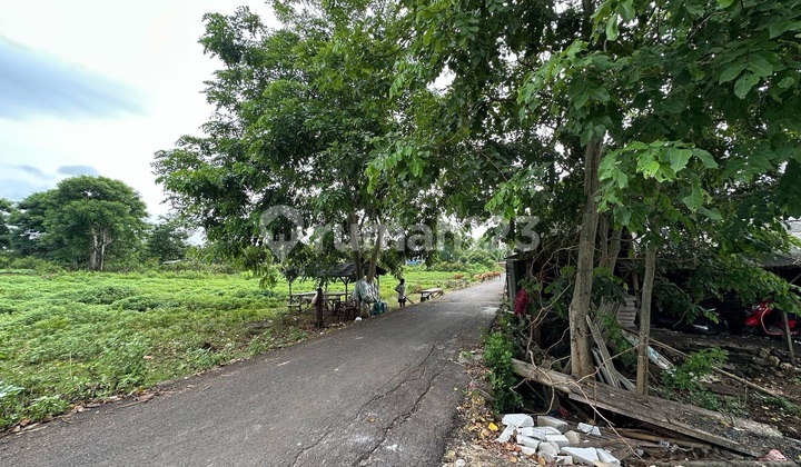 Walking Distance To Balangan Beach 