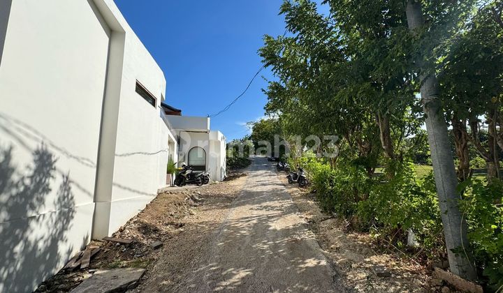 Pusat Sewa Tanah di Tengah Bingin Pusat Sewa Tanah di Tengah Bingin